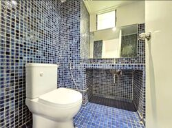 Dunearn Road (D11), Condominium #611526891